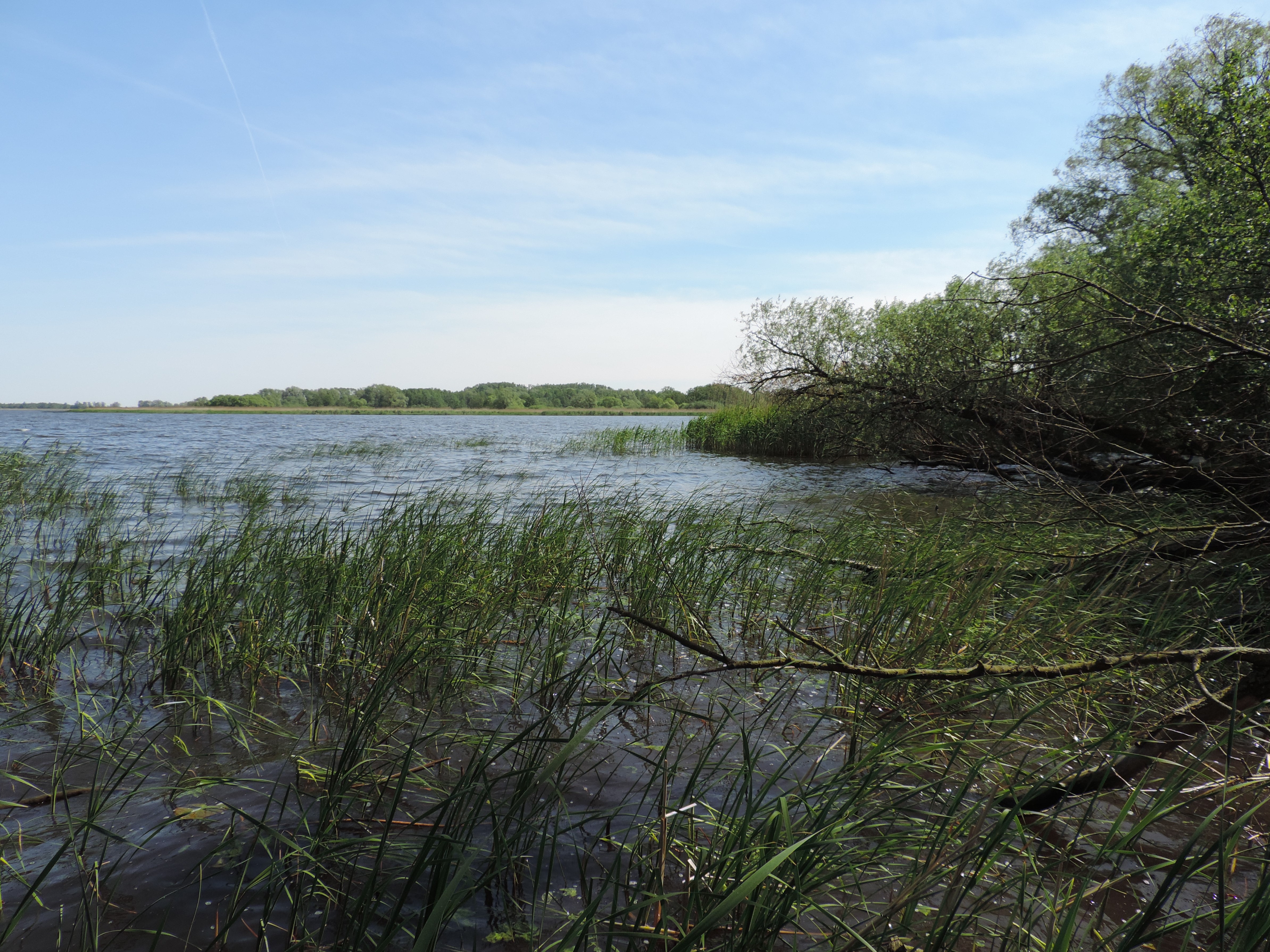 Lake Dąbie in Szczecin